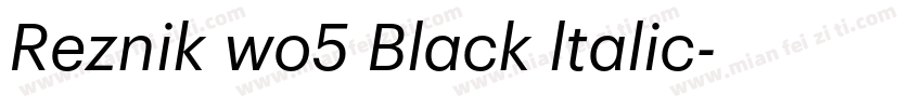 Reznik wo5 Black ltalic字体转换